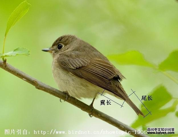 ������β���Ĺ�ϵ