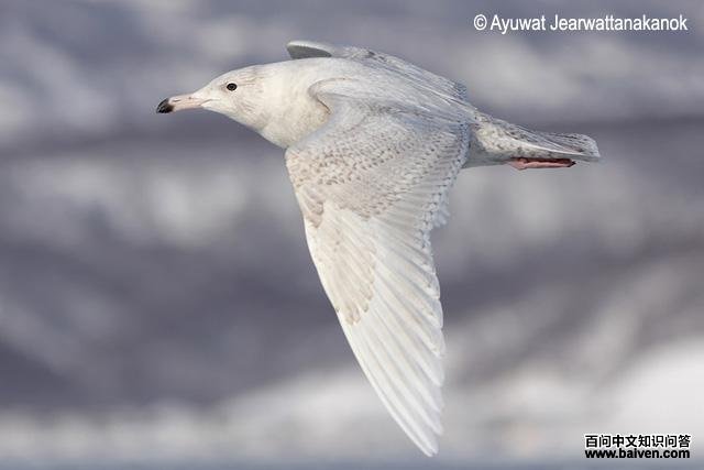 ����Ÿ�����еĵ�һ����