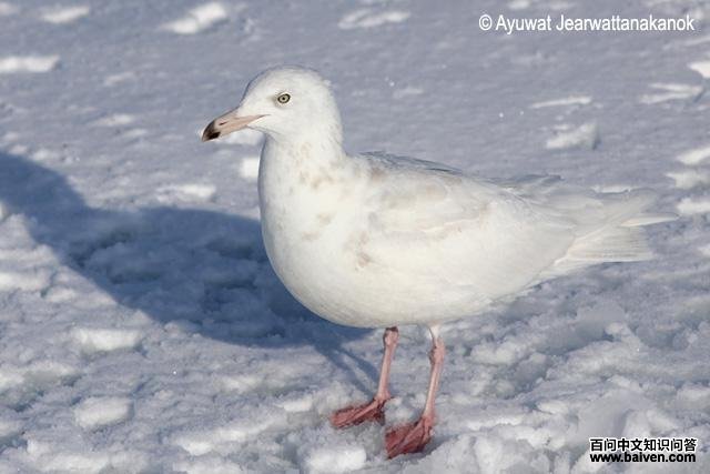 ����Ÿ����������