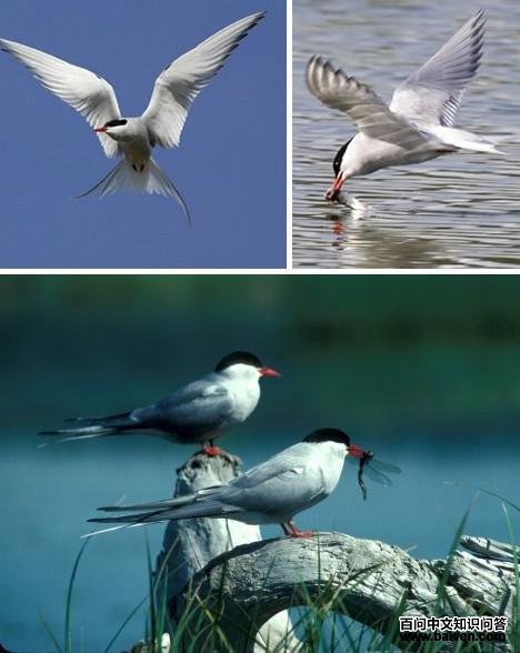 ������Ÿ