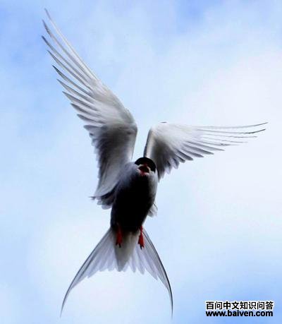 ������Ÿ