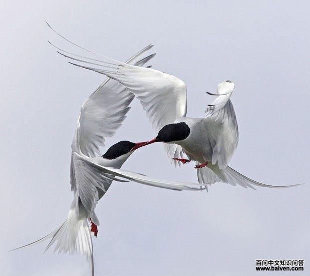 ������Ÿ