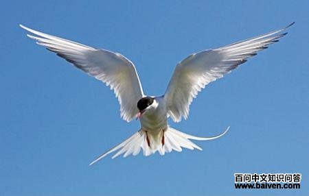 ������Ÿ