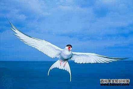 ������Ÿ