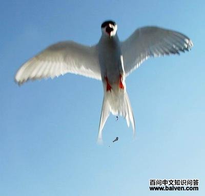 ������Ÿ