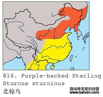 ����񣺵����ֲ�ͼ