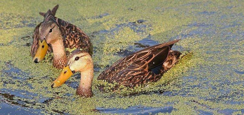 ������Ѽ��ͼƬ