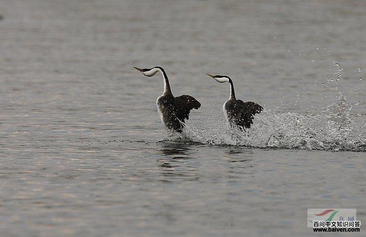 �����G�f