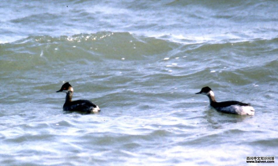 �����G�f