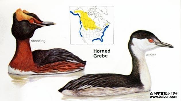 �����G�f