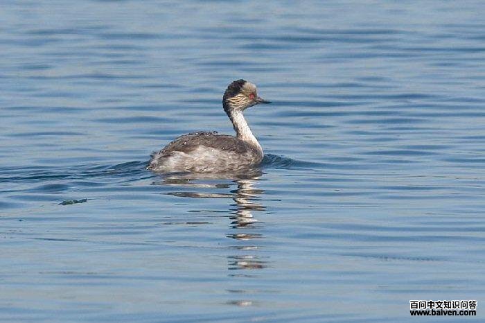 �����G�f