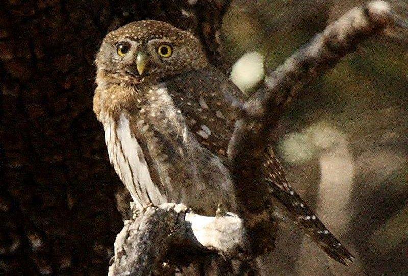 ������m��ͼƬ