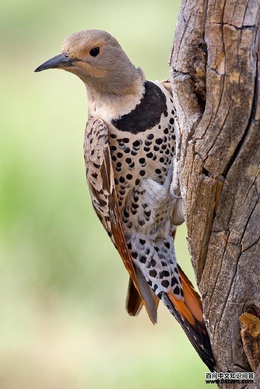 ���˳���������