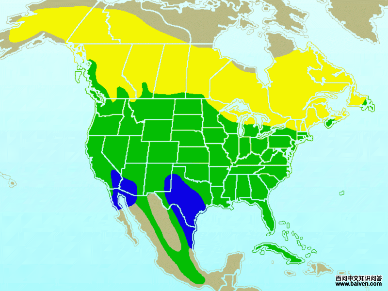 ���˳��������ֲ�ͼ����ɫΪ�����������ɫΪ�ļ��������ɫΪȫ����