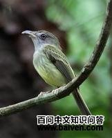 ��������l��ͼƬ