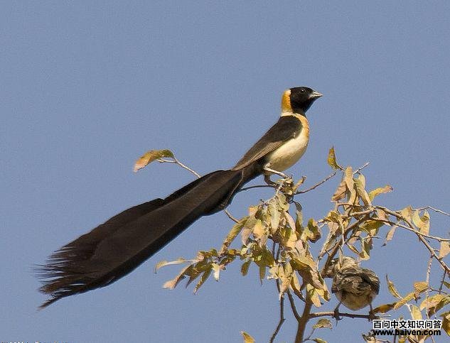 ��ά�����ͼƬ