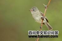 ������С���l