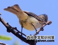 ������С���l