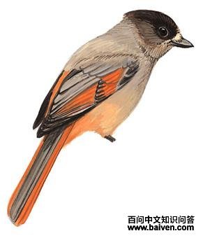 ����ѻ����̬����ͼ