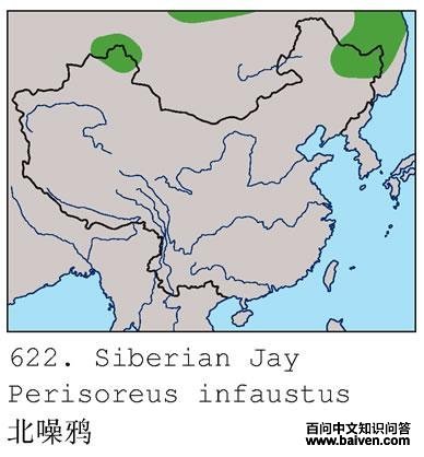 ����ѻ�������ֲ�ͼ