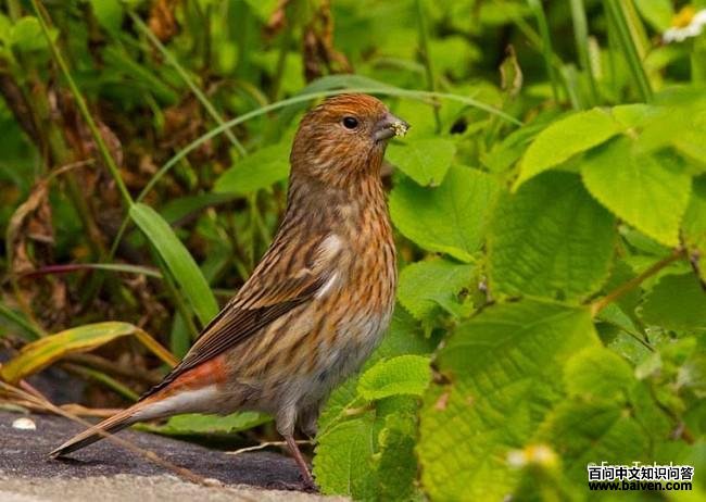 ����ȸ����һ������������̨��