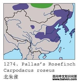 ����ȸ�������ֲ�ͼ