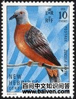 ���ϻ���ͼƬ