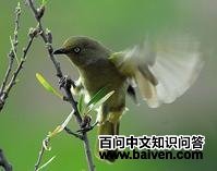 �������ǵ�ͼƬ