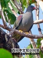 ��������ͼƬ