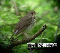 ����ҹ��ͼƬ