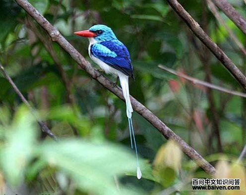 �ȵ������