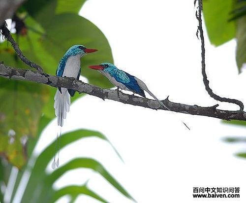 �ȵ������