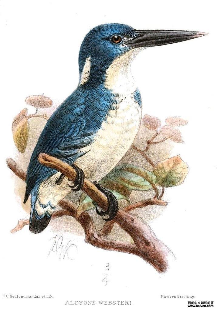 �µ������ͼƬ