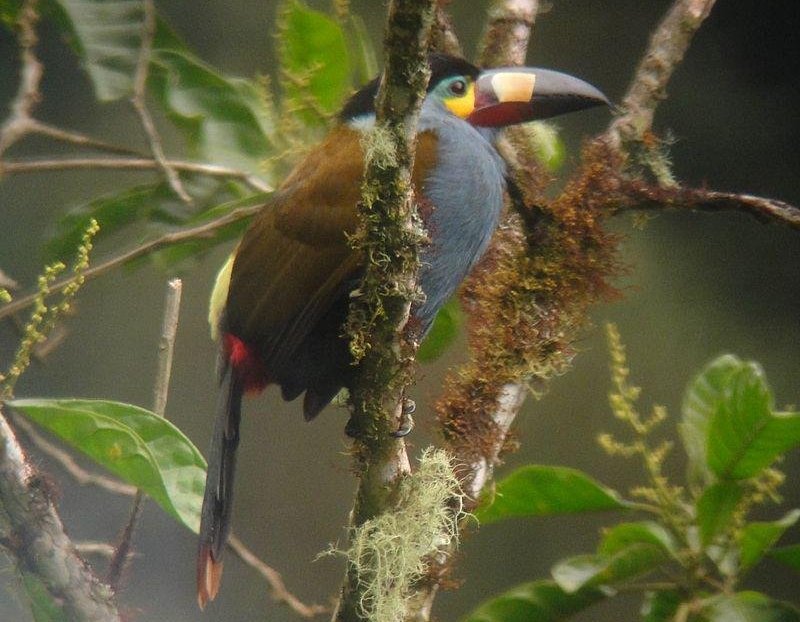 ����ɽ�������ͼƬ