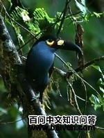 ����ɽ������