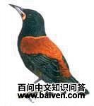 ����ѻ��ͼƬ