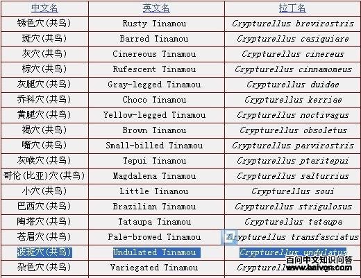 ����Ѩ[����]