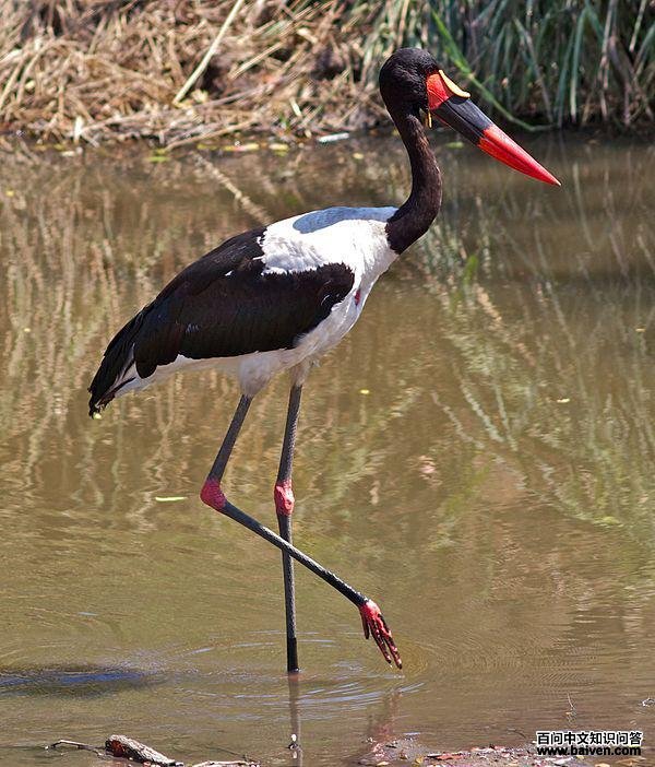 �����ٵ�ͼƬ