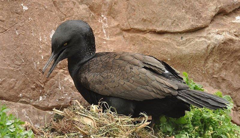 ����˵�ͼƬ