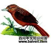 ����ά��ʰҶȸ��ͼƬ