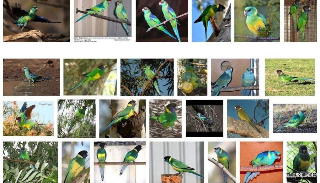 ������������ͼƬ