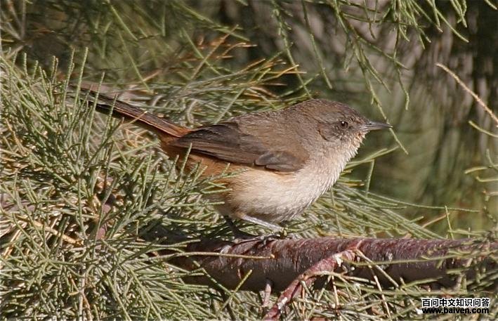 ���Ῠ������