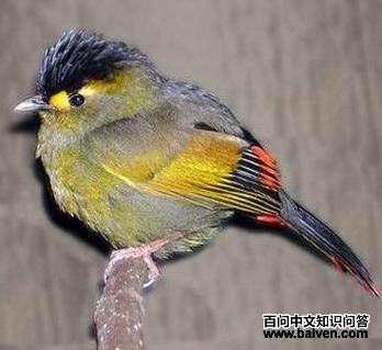 ����޴�̵�ͼƬ