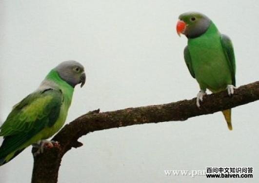 ���������ĵ�ͼƬ