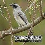 ��³���V��ͼƬ