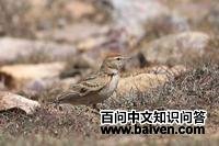 ���ϰ����ͼƬ