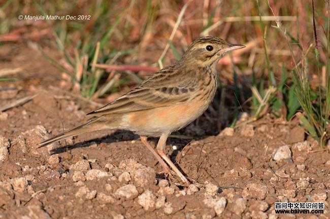 �����ҵ�ͼƬ