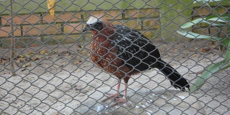 �ʹ�����ͼƬ