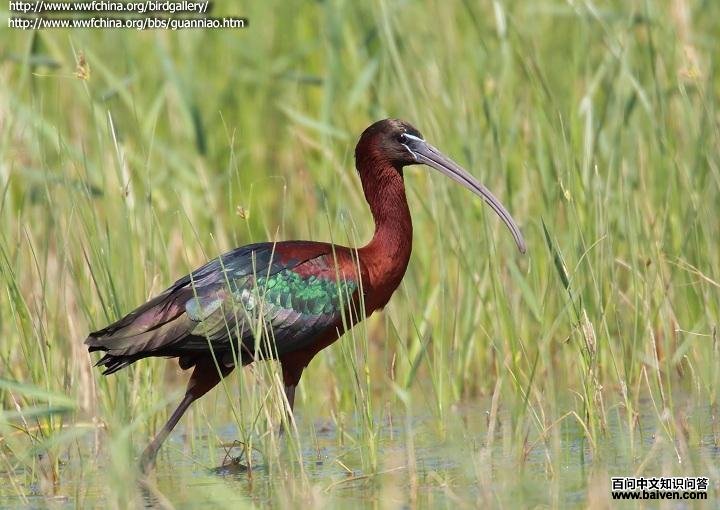 ���q��ͼƬ