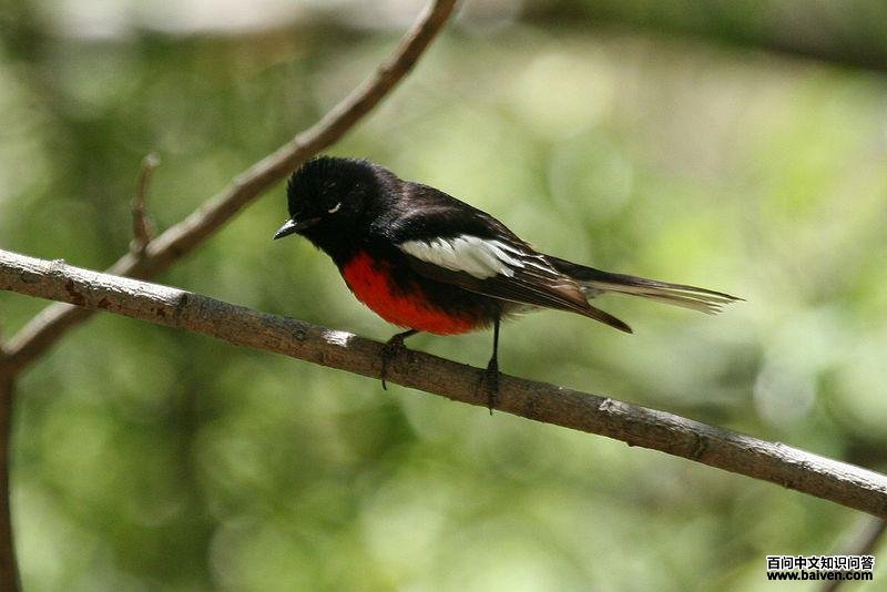 ���ݺ��ͼƬ